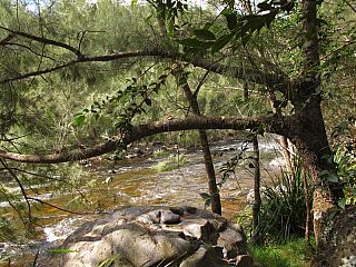 IMG_3872.jpg
