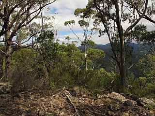 IMG_3914.jpg