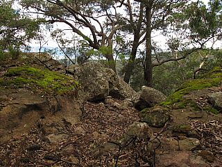 IMG_3932.jpg