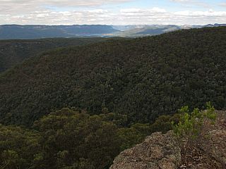 IMG_3966.jpg