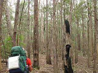IMG_3970-1167.jpg