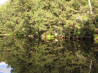 IMG_4190.jpg