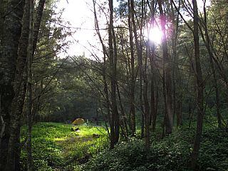 IMG_4195.jpg