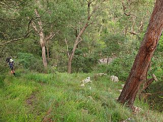 IMG_4207.jpg