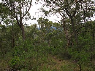 IMG_4211.jpg