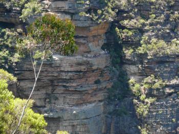 P1410466 P1410094.jpg