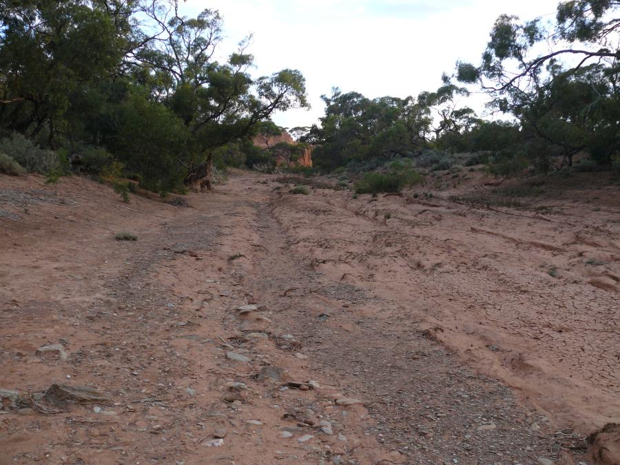 P1460774.jpg