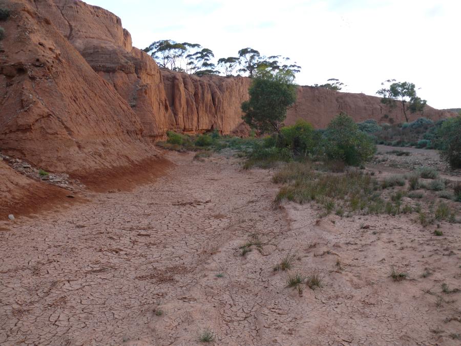 P1460781.jpg