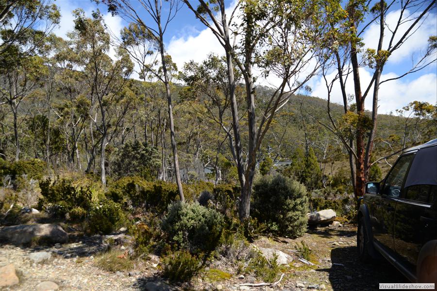 Day 1 Mt Field West Walk - January 2015