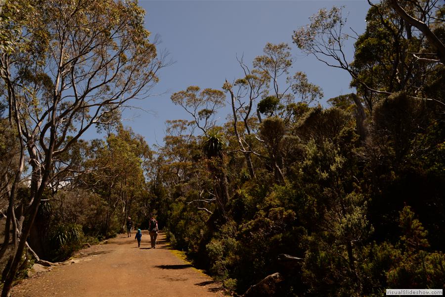 Day 1 Mt Field West Walk - January 2015