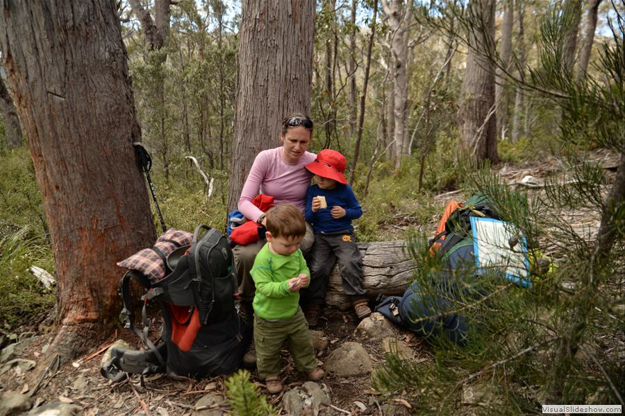 Day 1 Mt Field West Walk - January 2015