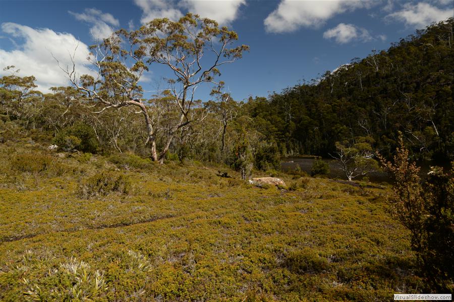 Day 1 Mt Field West Walk - January 2015